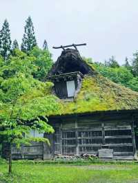 日本名古屋｜富山高山三天兩日藝術行程推薦
