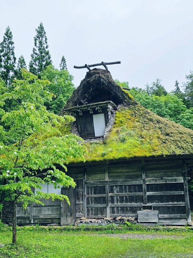 日本名古屋｜富山高山三天兩日藝術行程推薦
