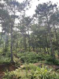 L’UM Coffee Hill (Đồi Llum)
