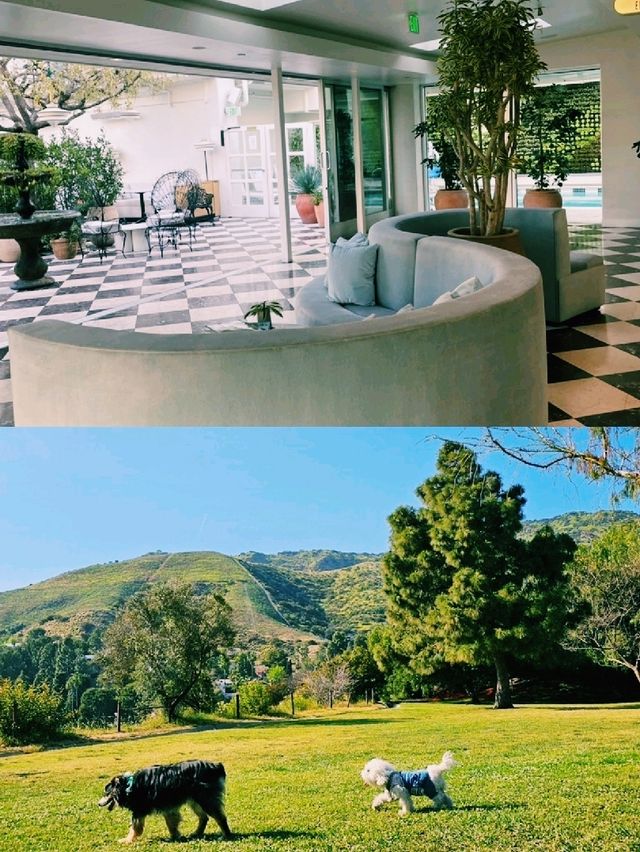 로스앤젤레스, 다채로운 매력을 품은 도시의 기록