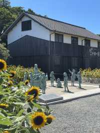 【小豆島】  日本映画、文学のテーマパーク  1500本のひまわり