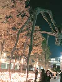 🎄Roppongi Hills Christmas Night Trip 🎅✨