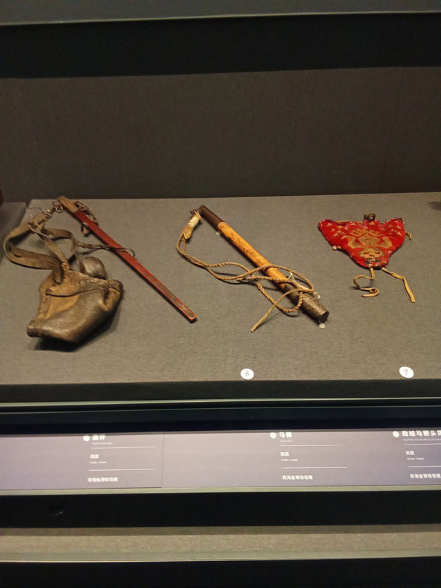 Discovering Qinghai Province Museum: A Cultural Gem in Xining Discovering Qinghai Province Museum: A Cultural Gem in Xining