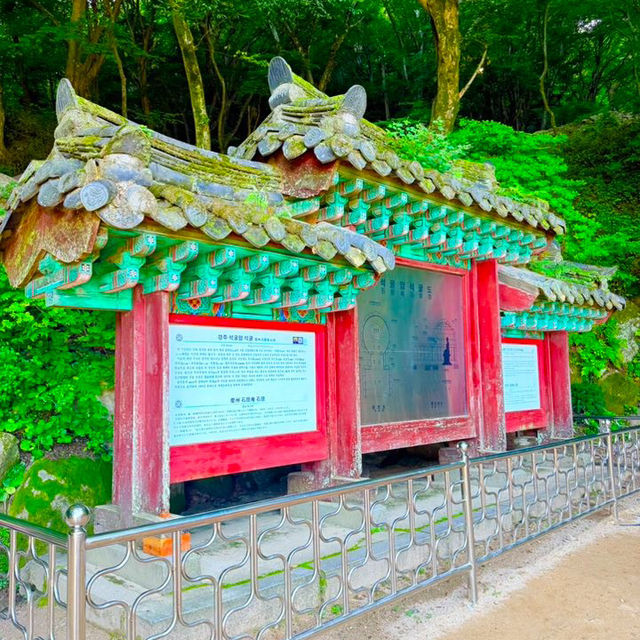 Granite Grace: A Soulful Pause at Seokguram Grotto