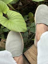 โอบบ์ คาเฟ่แกลง ระยอง ใกล้ชิดธรรมชาติสุดๆ