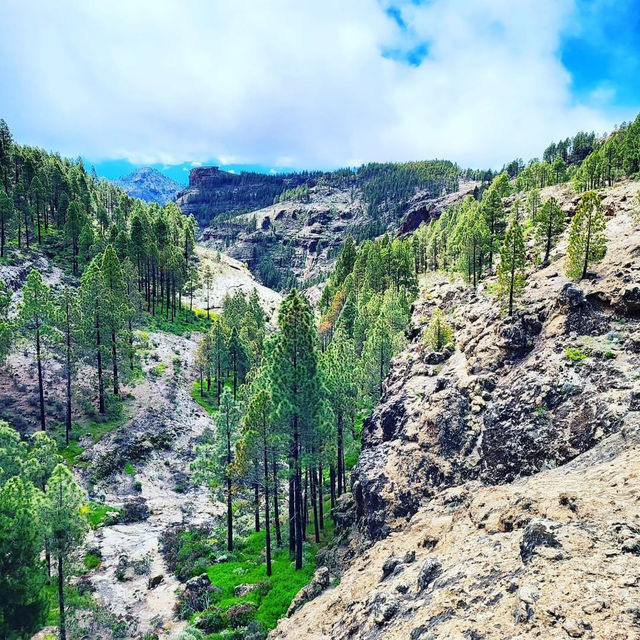 Experience Stunning Views at La Ventana del Nublo 