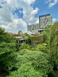 🎹 Music, Architecture & Nature – Tamarind Square Vibes 🎶