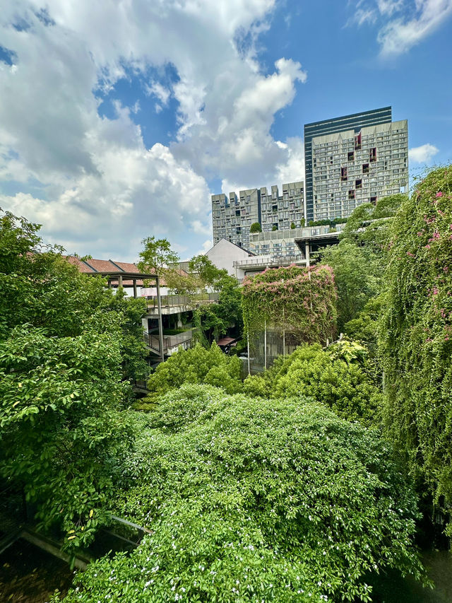 🎹 Music, Architecture & Nature – Tamarind Square Vibes 🎶