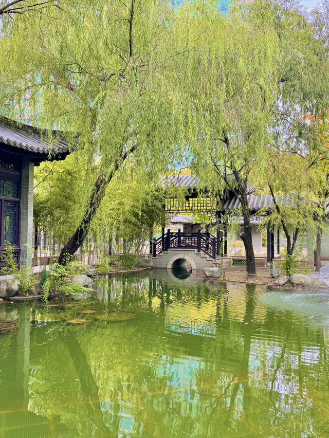 🏯 수원, 역사와 맛, 쇼핑까지 즐기는 완벽 여행 코스 🌿