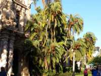 🌳 샌디에이고의 문화와 자연이 공존하는 곳, 발보아 파크 (Balboa Park)