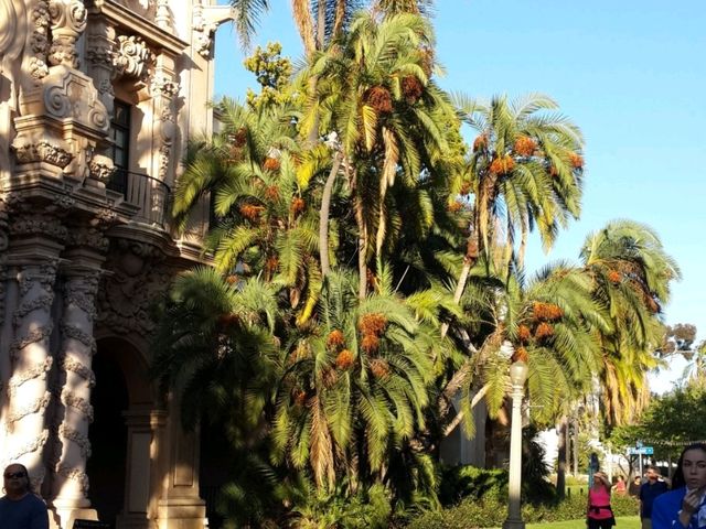 🌳 샌디에이고의 문화와 자연이 공존하는 곳, 발보아 파크 (Balboa Park)