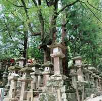 Kasuga Taisha Shrine : Nara’s Timeless Lantern Sanctuary