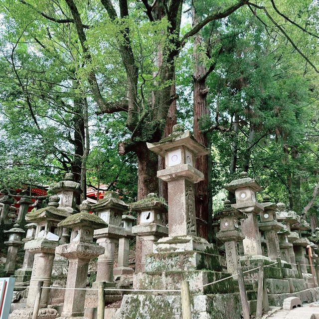 Kasuga Taisha Shrine : Nara’s Timeless Lantern Sanctuary