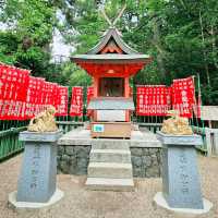 Kasuga Taisha Shrine : Nara’s Timeless Lantern Sanctuary