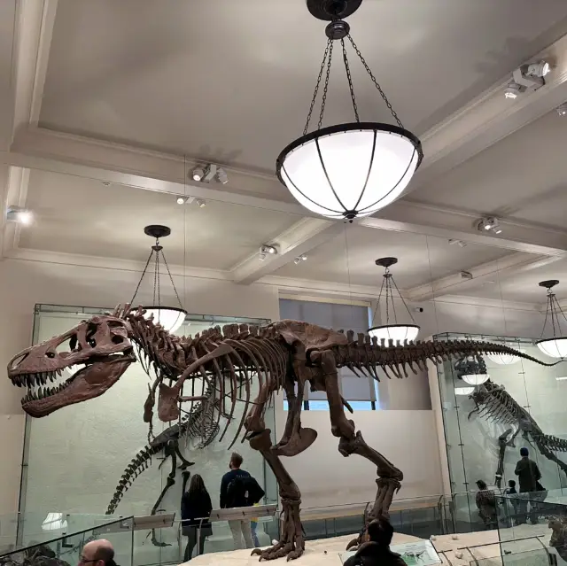 New York's Metropolitan Museum of Art: The Timeless Allure of an Artistic Treasure