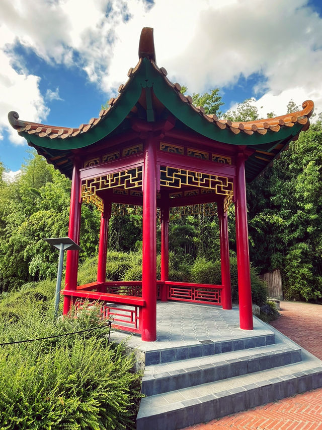 🇳🇿紐西蘭必訪 · 漢米爾頓花園｜一座活的園林藝術博物館 🌿✨