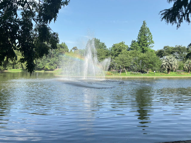 🌳【上海隱藏的“綠野仙蹤”!共青森林公園:城市中心的天然氧吧,隨手一拍就是森林大片!】🌳  🌳【上海隱藏的“綠野仙蹤”!共青森林公園:城市中心的天然氧吧,隨手一拍就是森林大片!】🌳