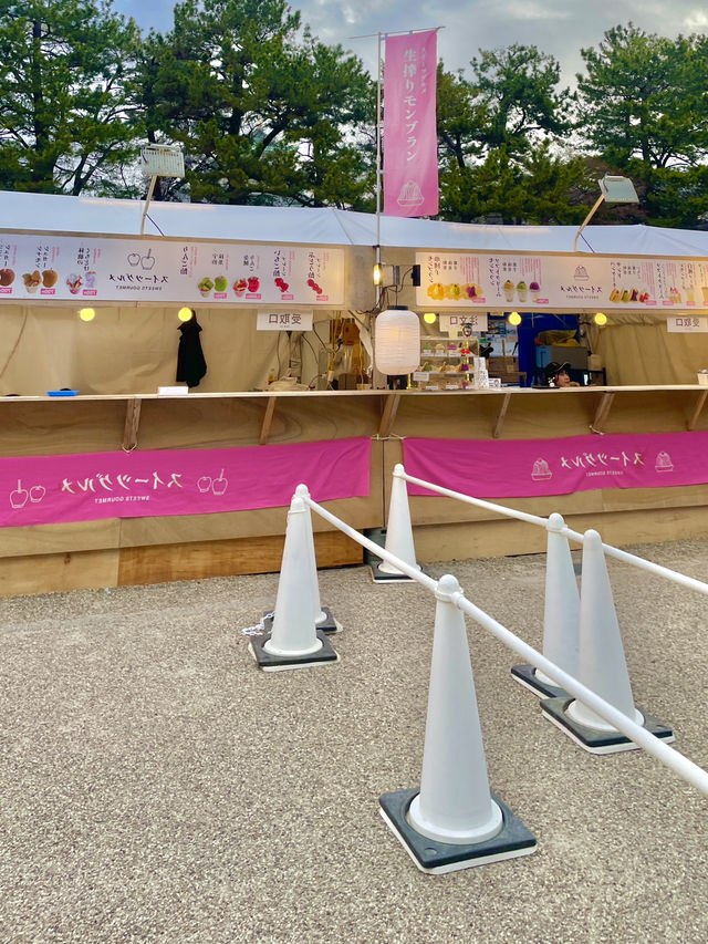 나고야의 상징이자, 일본을 대표하는 성 중 하나!