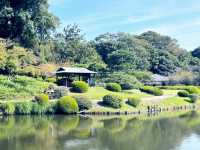 新宿御苑:我心目中的城市後花園 🌸🏙️