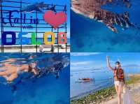Swimming with Whale Sharks in Oslob, Cebu 🐋❤️