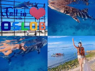 Swimming with Whale Sharks in Oslob, Cebu 🐋❤️