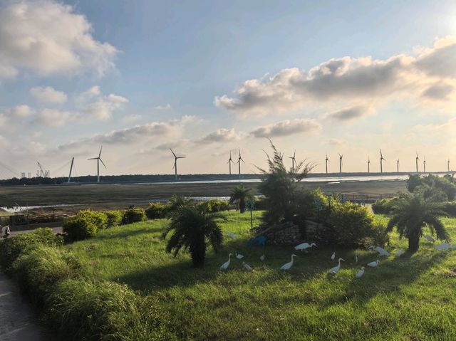 台中高美濕地絕美浪漫的日落打卡點🌅