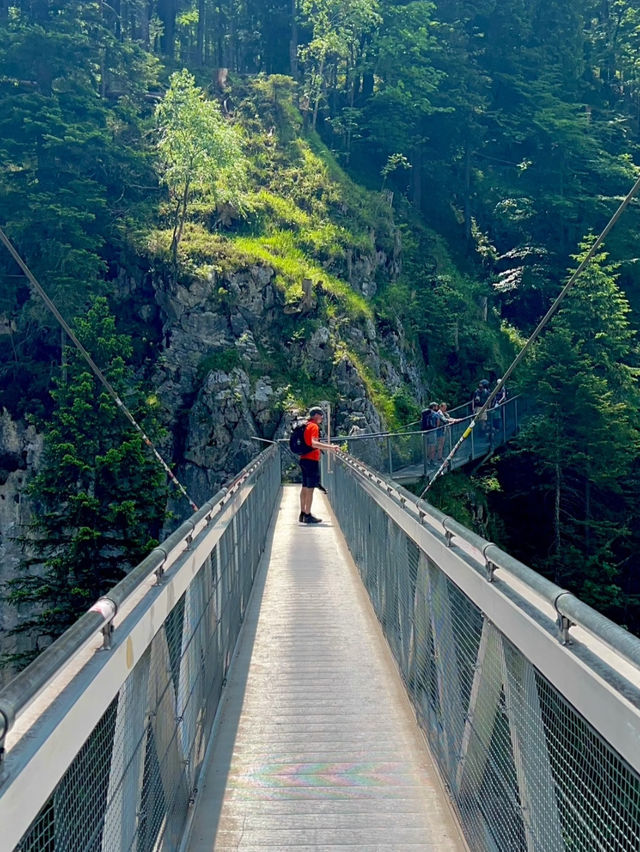 Revolving Around the Beauty of Nature: Eyes – Austria 