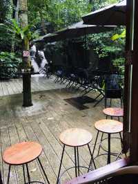 รีวิวร้านกาแฟ Teddy Coffee แม่กำปองกลางหุบเขา