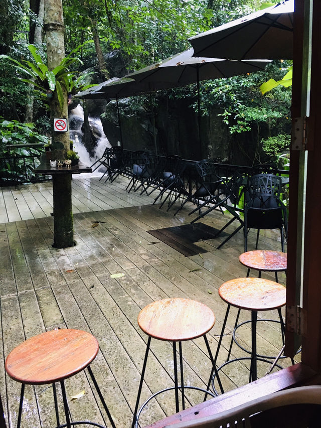 รีวิวร้านกาแฟ Teddy Coffee แม่กำปองกลางหุบเขา