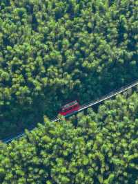 🌿 Shaoxing – A Journey of Peace and Discovery 🌿