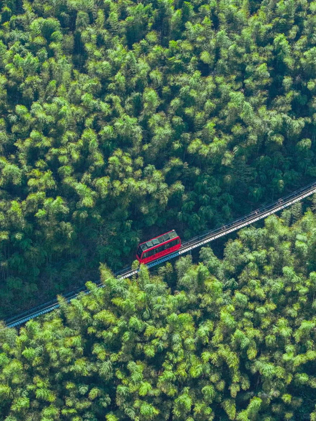 🌿 Shaoxing – A Journey of Peace and Discovery 🌿