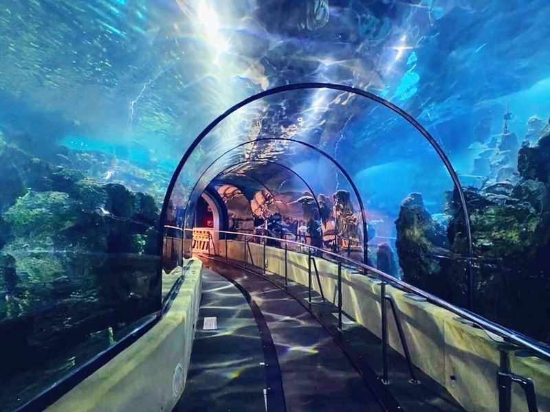Barcelona | Barcelona Aquarium: A Great Place for Kids