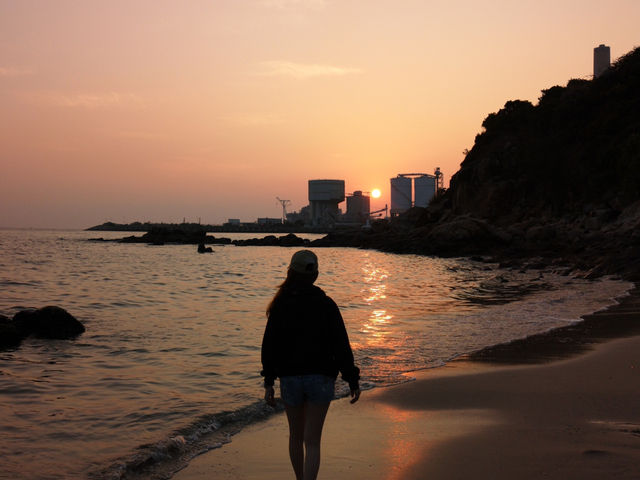 日落下的南蓮園池秘境🌅   日落下的南蓮園池秘境🌅