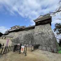 【愛媛/松山🇯🇵】17世紀のお城の復元🏯松山城