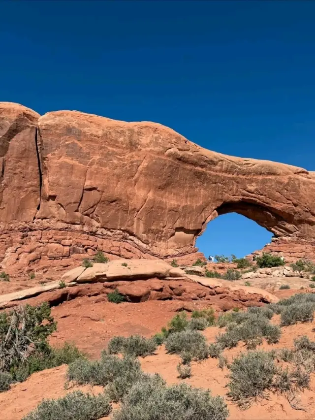 Explore the Natural Wonders of Arches National Park