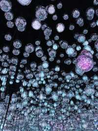 🎨 รีวิว MORI Building DIGITAL ART MUSEUM: teamLab