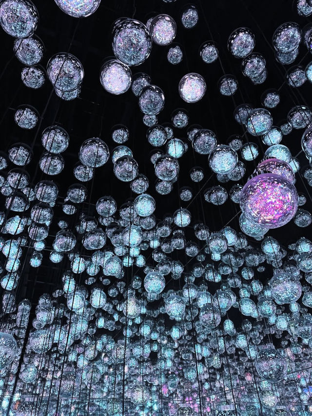 🎨 รีวิว MORI Building DIGITAL ART MUSEUM: teamLab