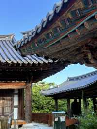 大邱｜千年桐華寺的寧靜之美 能在寺廟住宿體驗修行生活