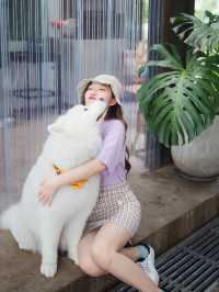 Joint.s Cafe เชียงใหม่🐶🐈