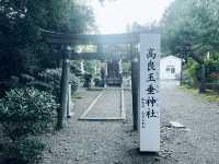 仙台・亀岡八幡宮｜石鳥居と長い石段が語る歴史と自然のパワースポット