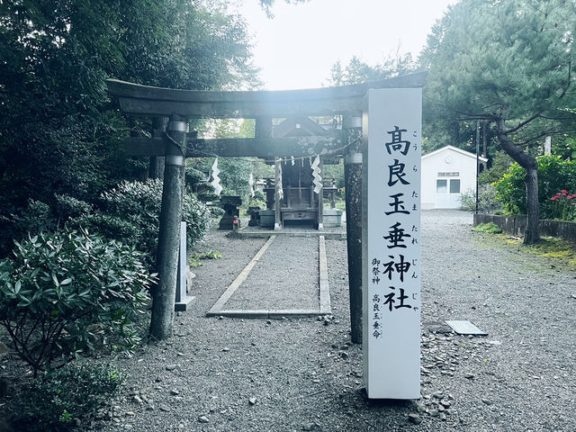 仙台・亀岡八幡宮｜石鳥居と長い石段が語る歴史と自然のパワースポット