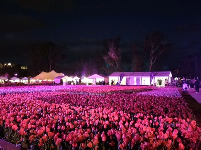 🌹Floriade Nightfest🌹