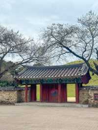 경주 여행 필수코스 ‘대릉원’