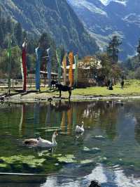 Yubeng Village Sacred Forest: A Mystical Walk Among Giants 🌲🙏
