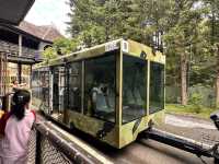 🎢韓國第一夢幻樂園！從早嗨到晚的「愛寶樂園」一日大冒險💫