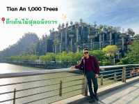 Tian An 1,000 Trees 🌳🌿