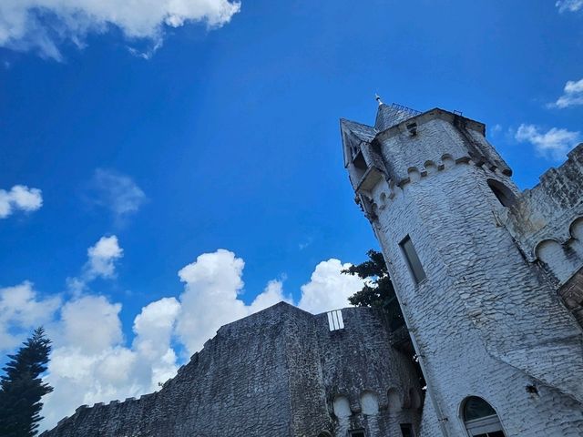 수영못함 미야코지마