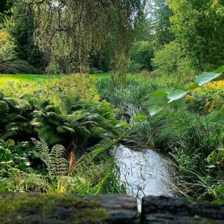 Dendrological Garden