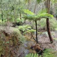 Araluen Botanic Park