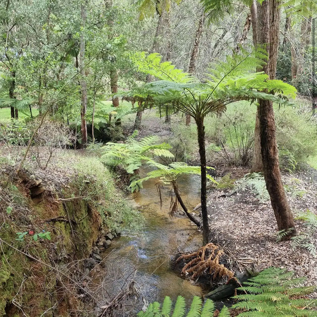 Araluen Botanic Park